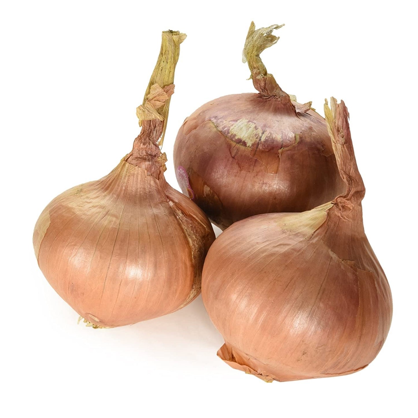 Roscoff Sweet Pink Onions - kg-Watts Farms