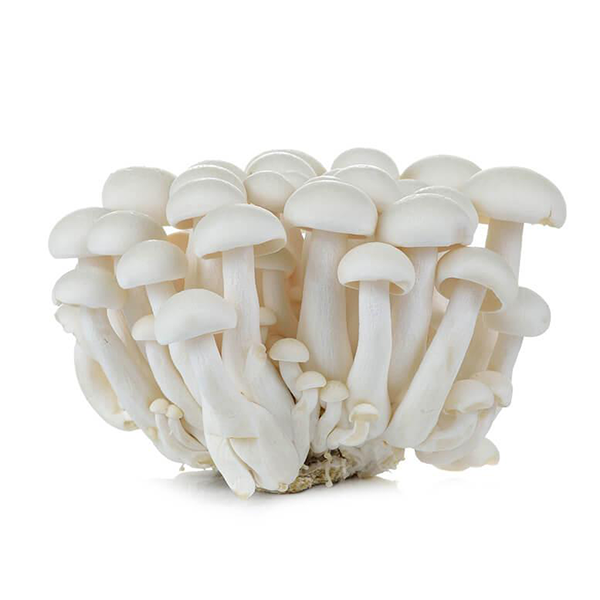 Shimeji White Mushroom - 150g-Watts Farms