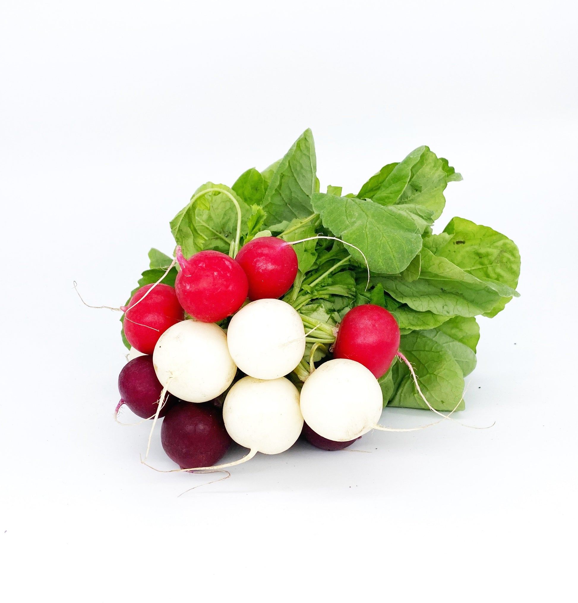 Radish - Heritage Mixed Colour - Bunch-Watts Farms