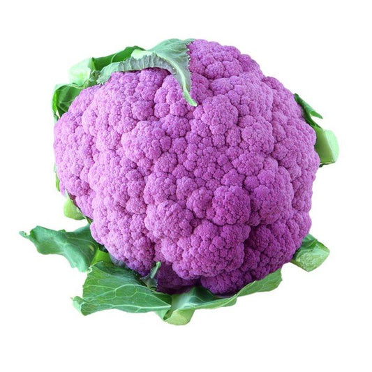 Cauliflower Purple