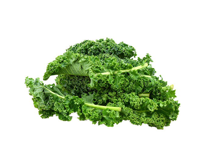 Kale Green Loose