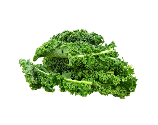 Kale Green Loose