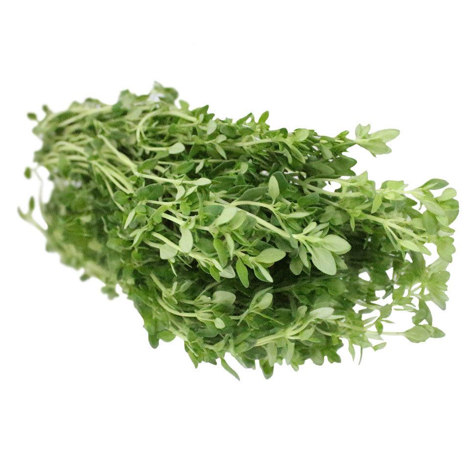 Lemon Thyme Fresh