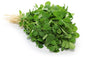 Fenugreek / Methi Fresh - 100g