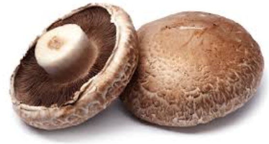 Mushrooms Portobello Retail Pack