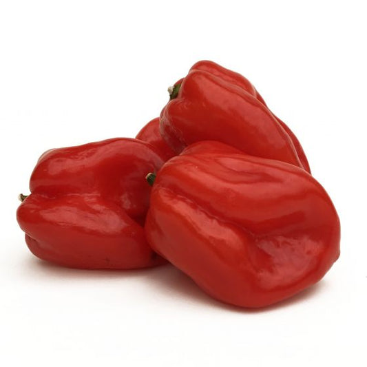 Chillies Habenero Kg