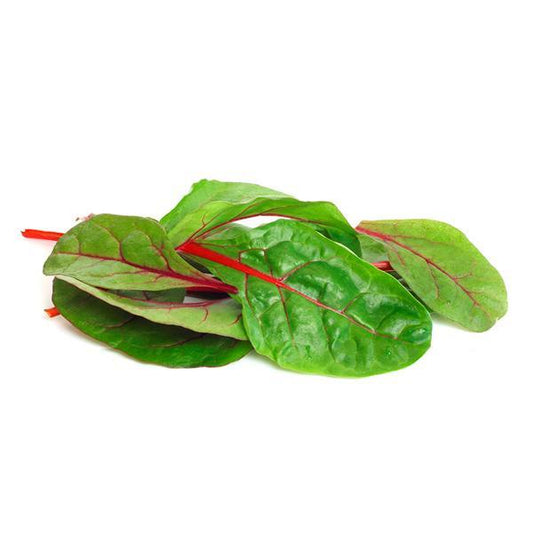 Red Chard