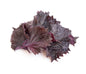 Shiso Large Leaf Red Punnet (50g)