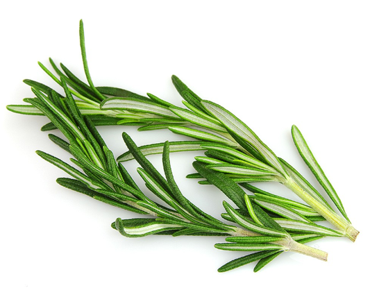 Rosemary 40g-Watts Farms