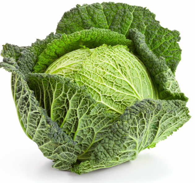 Cabbage Savoy - Each-Watts Farms