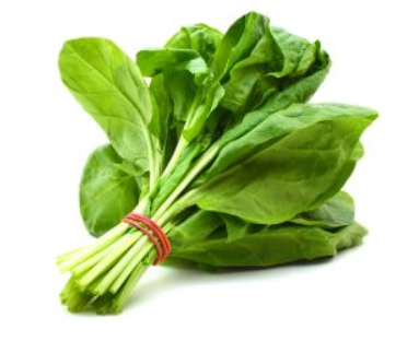 Spinach Large Leaf - 200g-Watts Farms