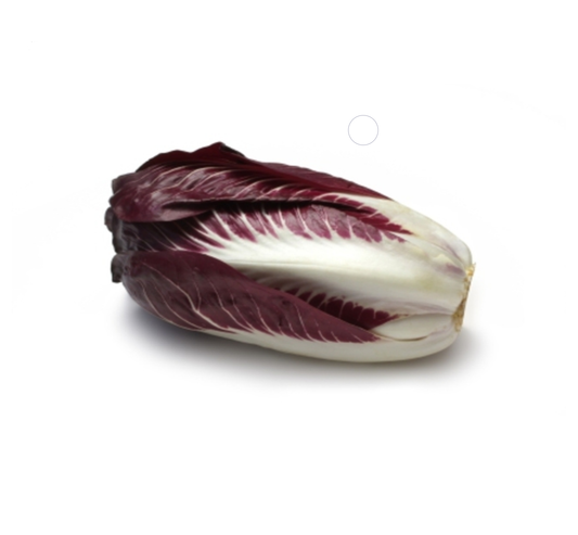 Chicory Trevise